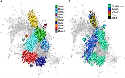 Identification of Complex Rumen Microbiome Interaction Within Diverse Functional Niches as Mechanisms Affecting the Variation of Methane Emissions in Bovine